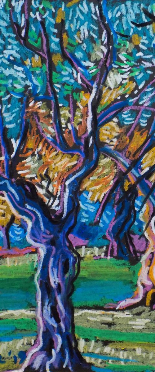 Olive grove No 14 by Maja Grecic
