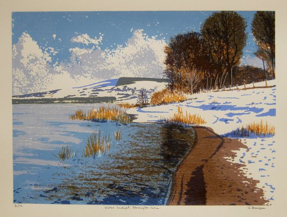 Winter sunrise, Blessington Lake