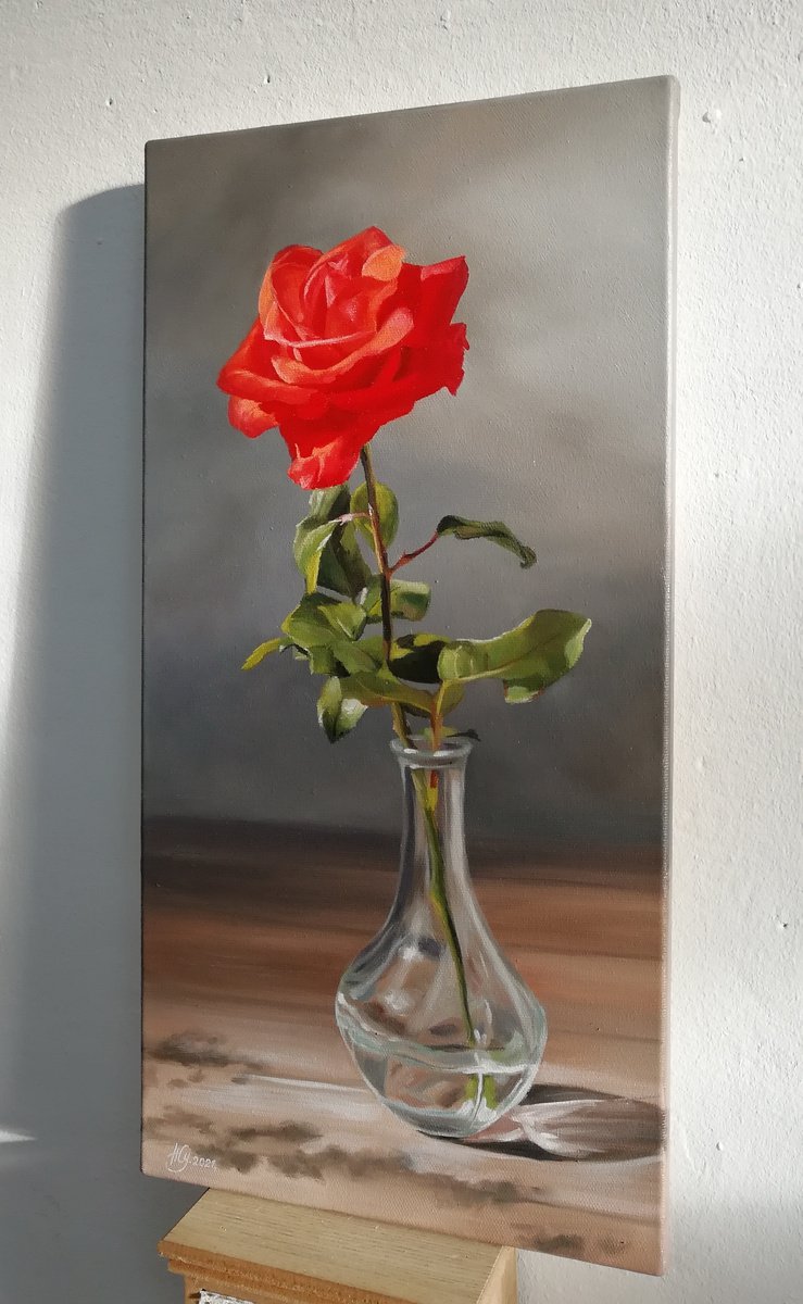 Red rose in the shade by Natalia Zhukova