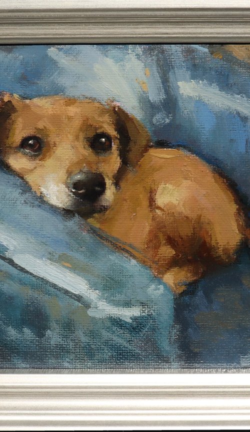 Biscotti by Jade Eynon