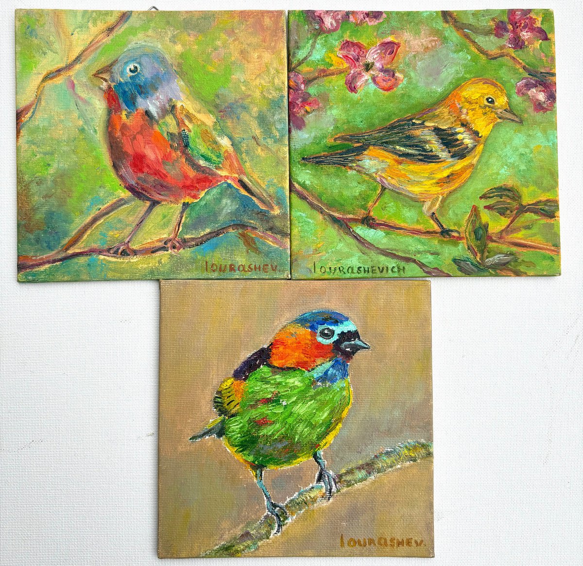 Impressionistic Animal Oil Painting By Katia Ricci, 6 X 6", Melody Of Wings, Original Artwork