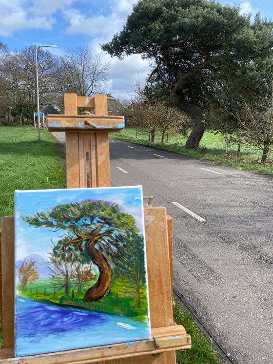 Old pine tree. Pleinair