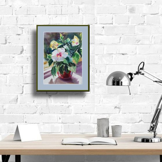 Hibiscus Flower in a Pot Watercolor Still Life Painting