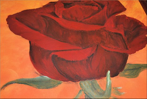 Crimson Grace