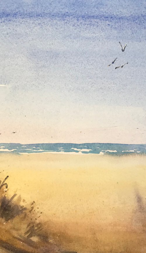 Summer sand dunes by Vicki Washbourne