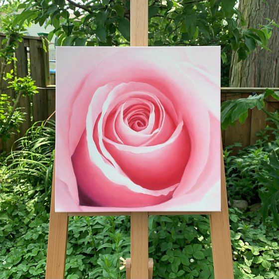 Pure Joy. Rose Painting
