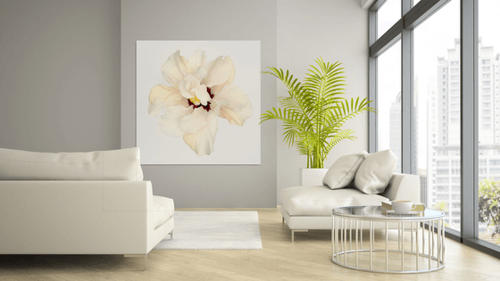 HIBISCUS IN WHITE