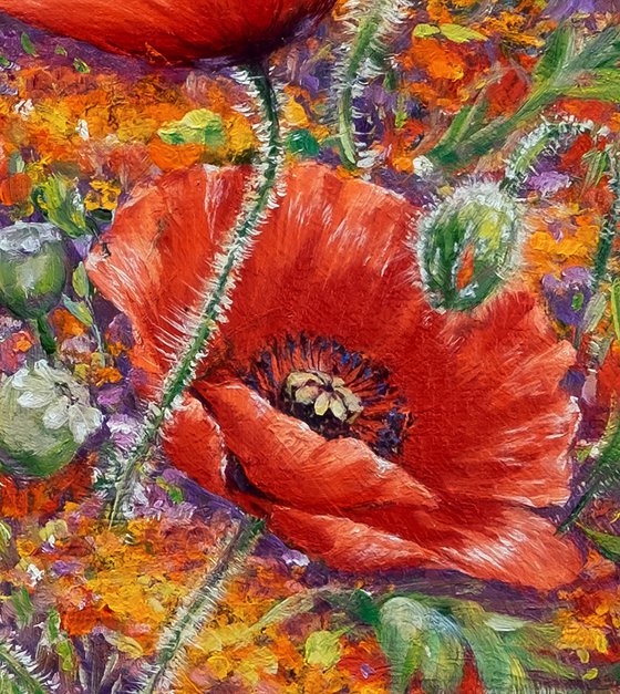 "Poppies with yellow flowers"