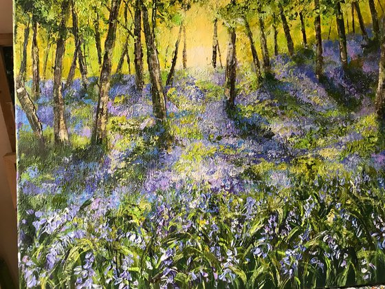 Bluebells no2