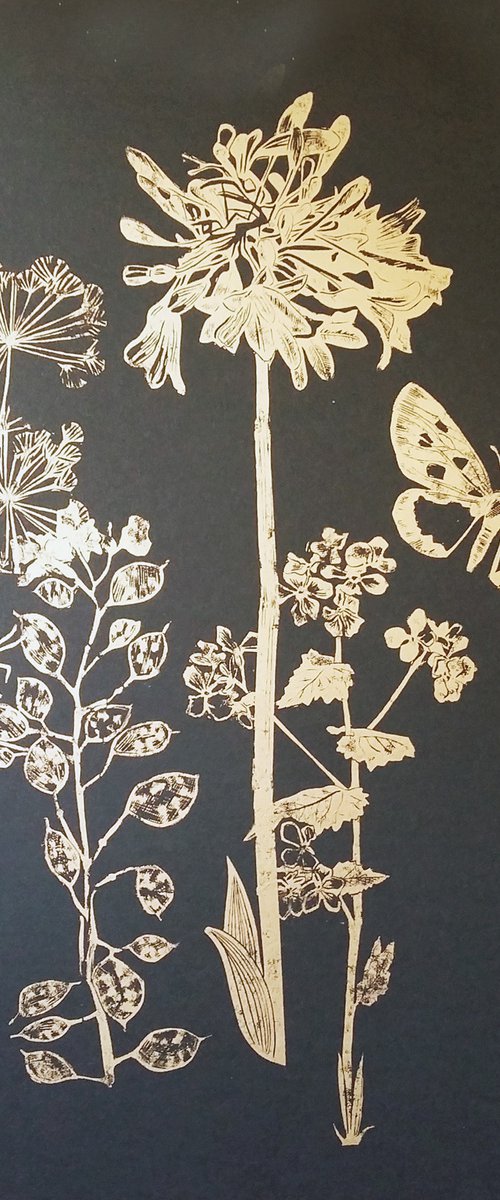 Flora and fauna (gold on black #1) by Carolynne Coulson