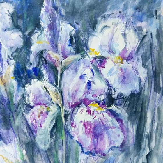 Flower power - Nighttime Irises #5