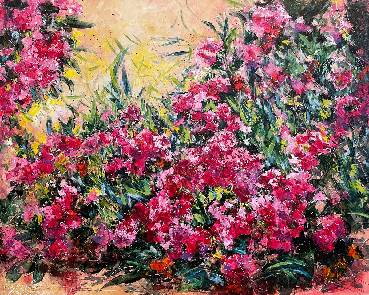 Oleander by Diana Malivani