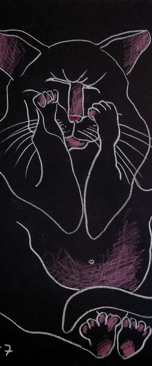 DISAPPOINTMENT by Elisheva Nesis