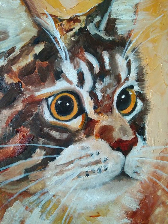 Maine Coon Portrait Cat Oil Painting Original Art Pet Wall Art