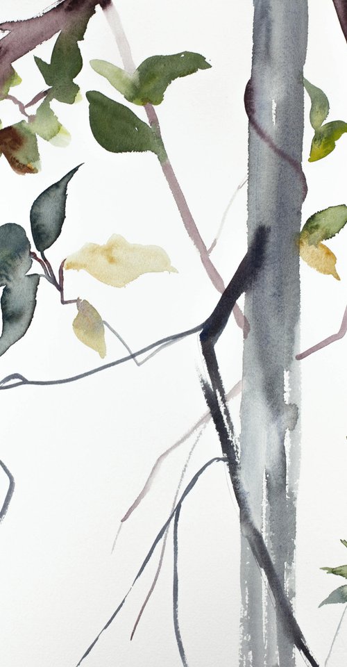 The Woods No. 101 by Elizabeth Becker