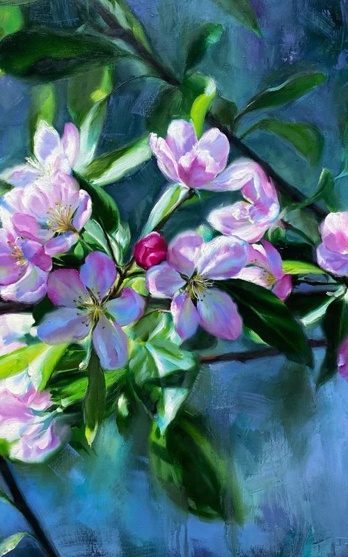 Spring blossom by Farzaneh Maddahi