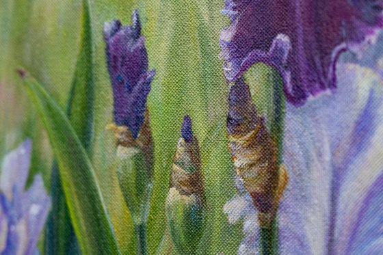 Irises