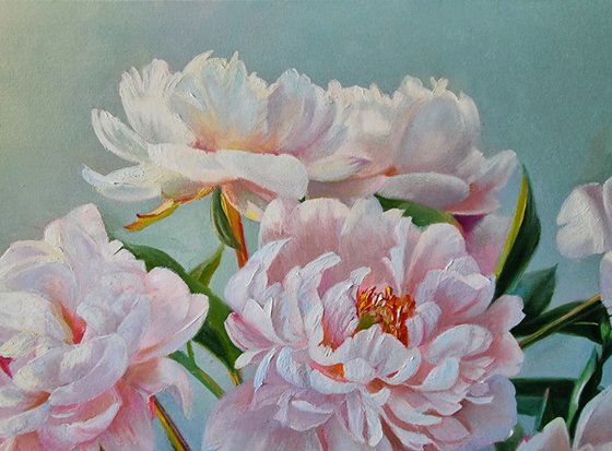 Peony morning.