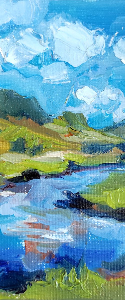 Mountain river by Natalia Miasnikova