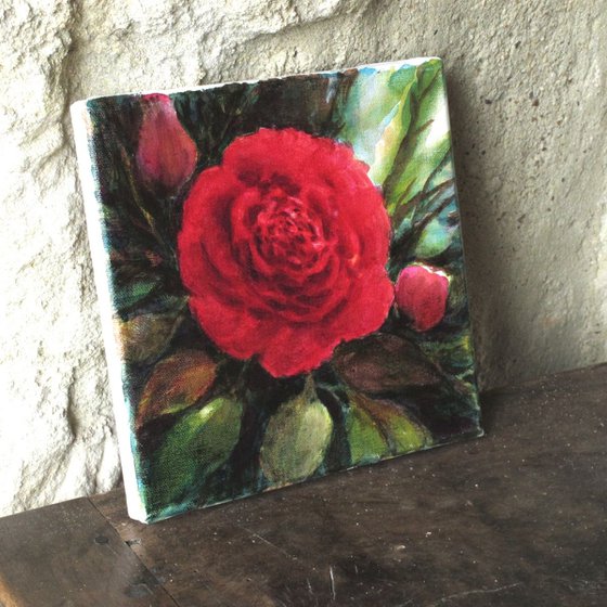 "Red Camelia flower" - FRAMED - small size floral painting - 20X20 cm