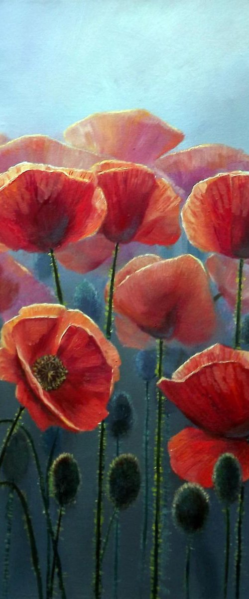 Poppies by Oleg Riabchuk