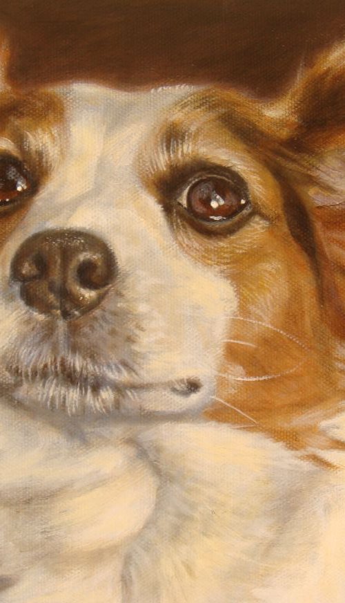 Pet portraits (SOLD) - COMMISSIONS WELCOME by Michael Mullen