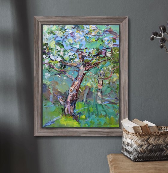 Apple tree blossom