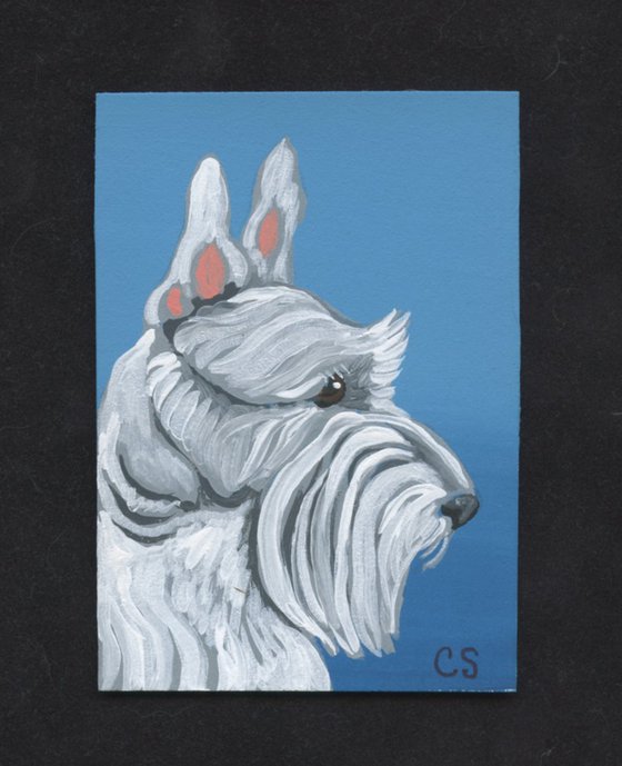 ACEO ATC Original Miniature Painting White Scottish Terrier Pet Dog Art-Carla Smale