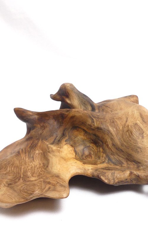 Be Like Water (2025) by J. Lane