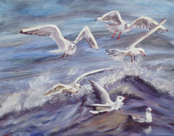 Seagulls4