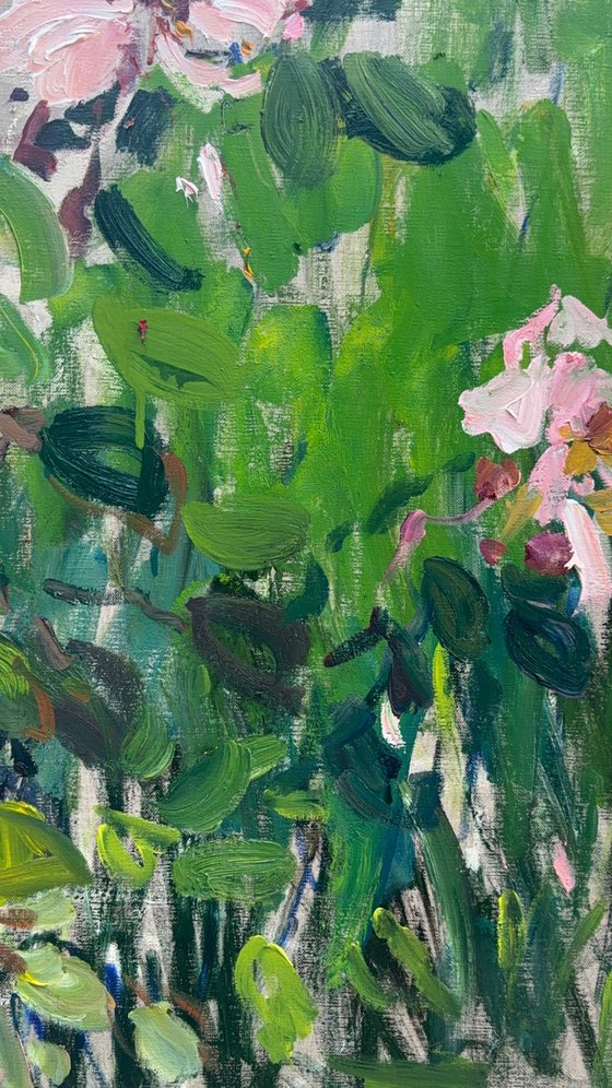 Roses in a summer garden