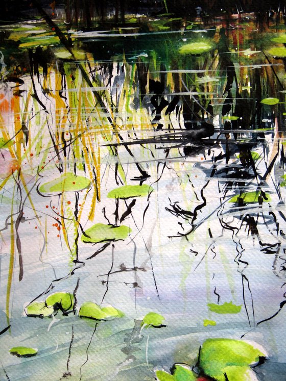 Water mirror with water lilies