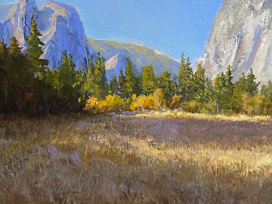 Yosemite Valley Fall Colors
