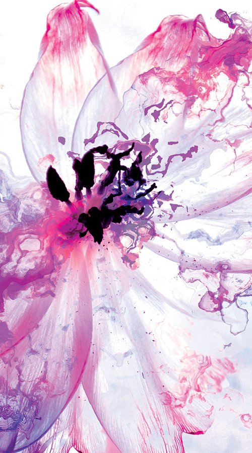 Flores al viento by Javier Diaz