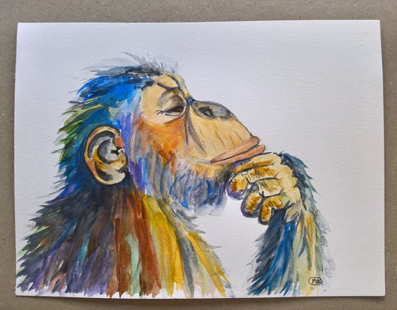 Chimpanzee Monkey