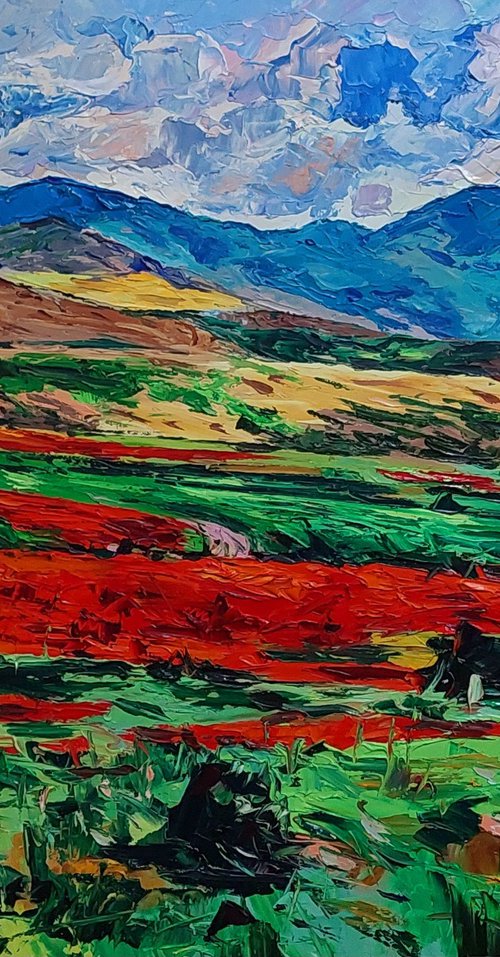Highland Poppies by Andranik Harutyunyan