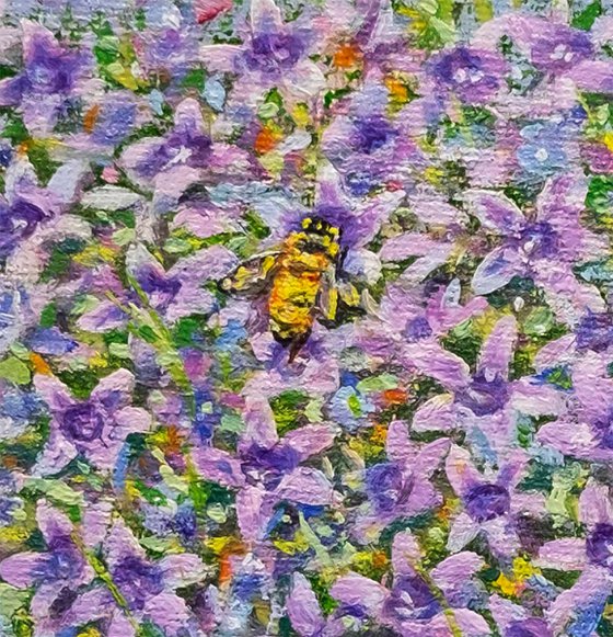 Summer Bellflowers