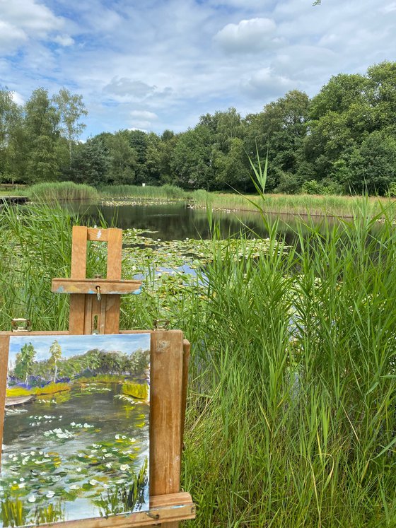 Waterlilies in park. Pleinair