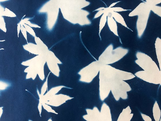 Leaves Leaves leaves- Cyanotype print