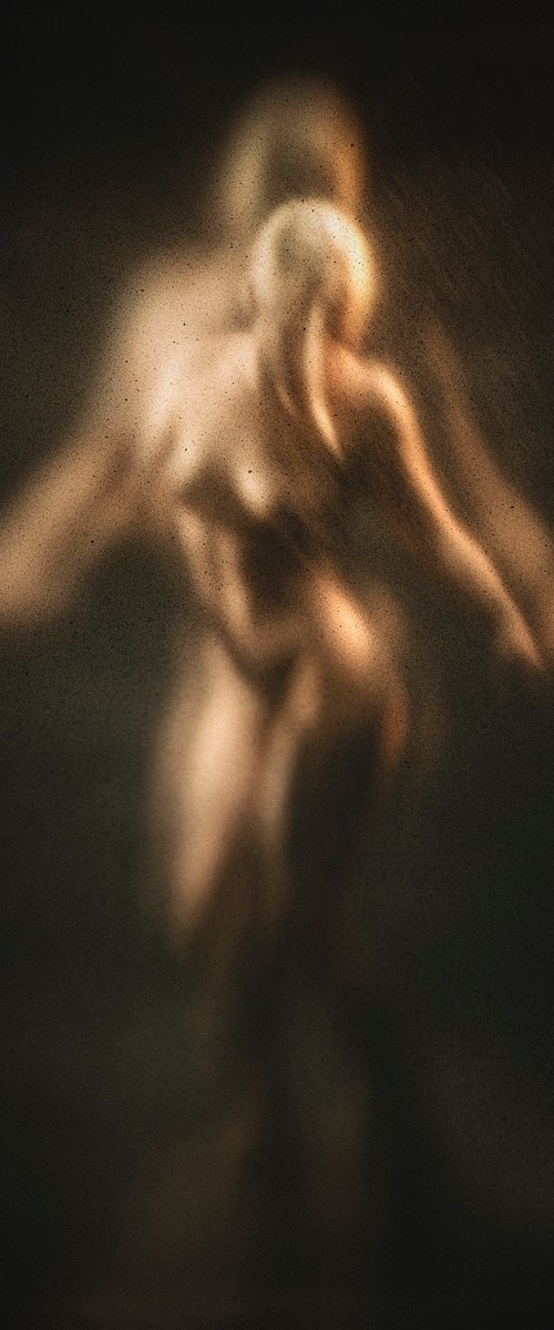 Corpus by Cédric Brion