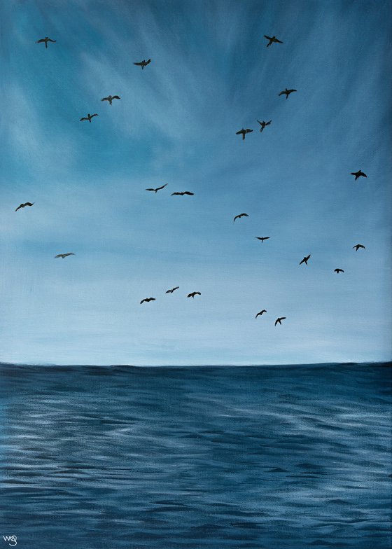 Birds Ocean