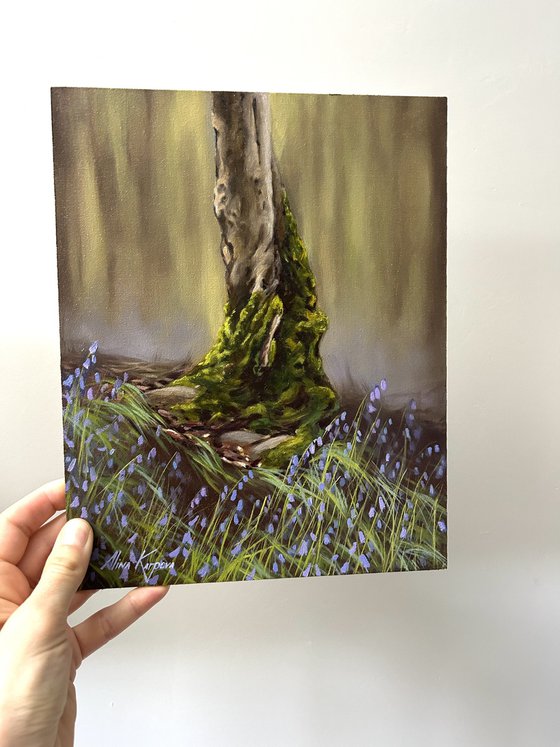 The tree and the bluebells