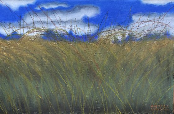 The Edge Of The Rice Field