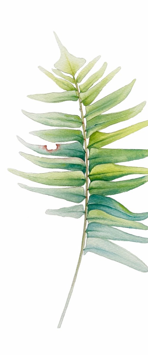 Fern leaf. Original watercolor artwork. by Nataliia Kupchyk