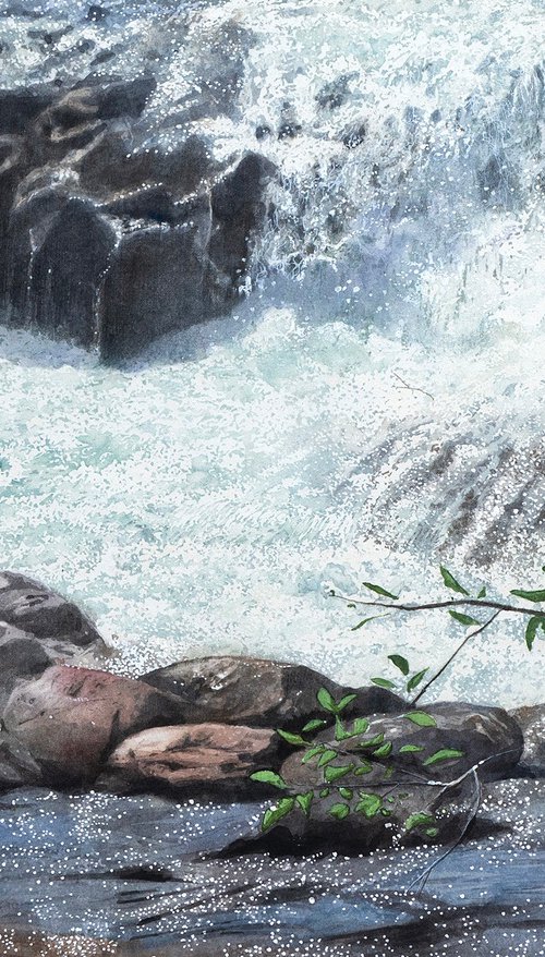 Whitewater Torrent and Waterfall - Nature by Masato Watanabe