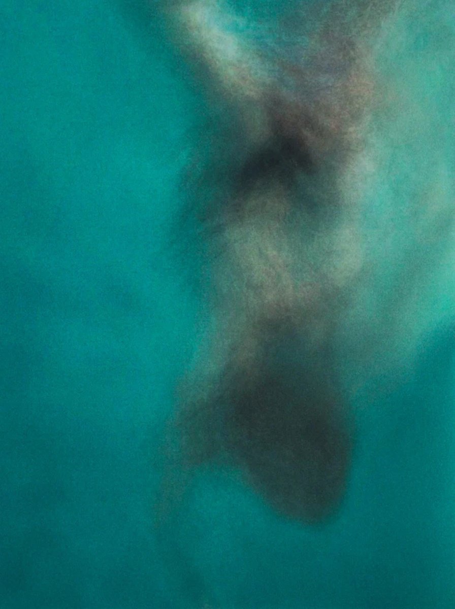 Surrealistic Abstract Photograph By Katha Wood, 24 X 32", Freedom, Original Artwork