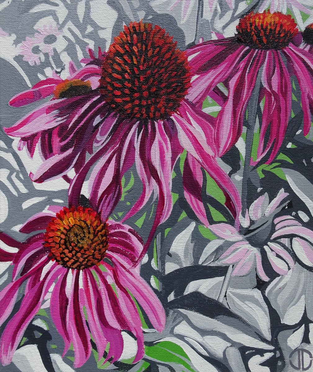 Echinacea Flowers by Joseph Lynch