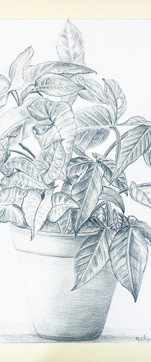 Foliage by Neha Soni