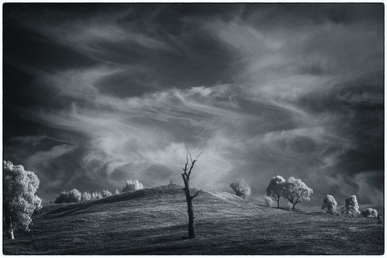 Monochrome Country