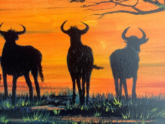 African sunset